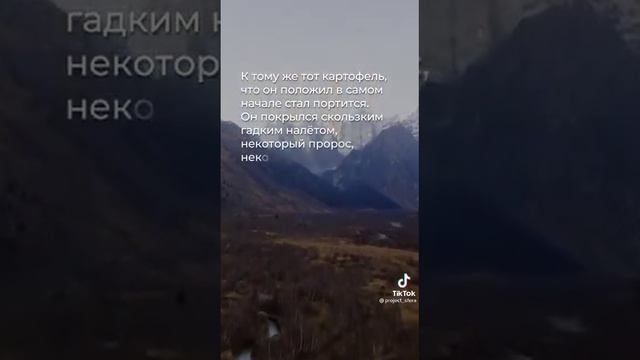 Мудрые слова учителя смотреть онлайн