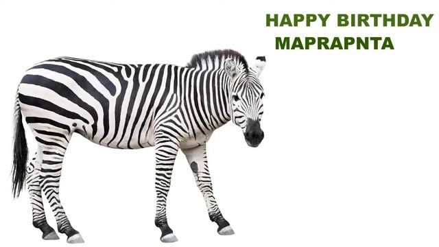 Maprapnta Animals & Animales - Happy Birthday смотреть онлайн