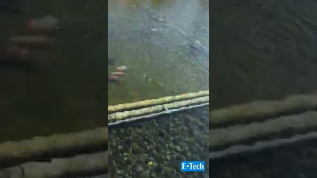 DC24V  1200W Submersible Pump Application In HK Waterscape