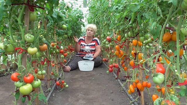 О заготовке семян, ответы на вопросы. Ольга Чернова. смотреть онлайн