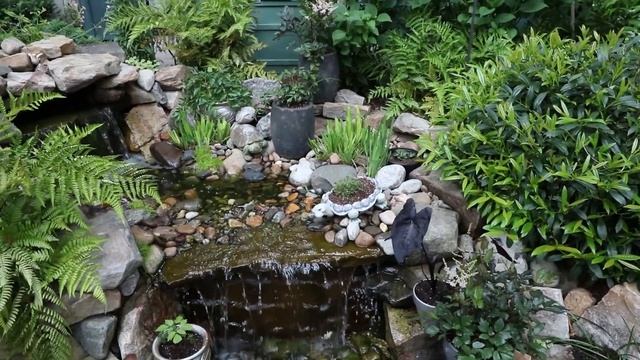 ?Amazing Garden Tour? - Small Lot Landscaping смотреть онлайн