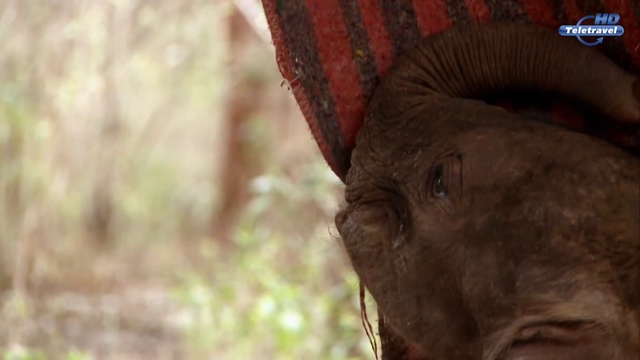 1 серия смотреть онлайн