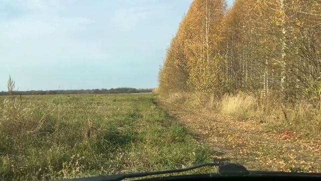 Обзор детской рации retevis RT388 (BF T3) смотреть онлайн