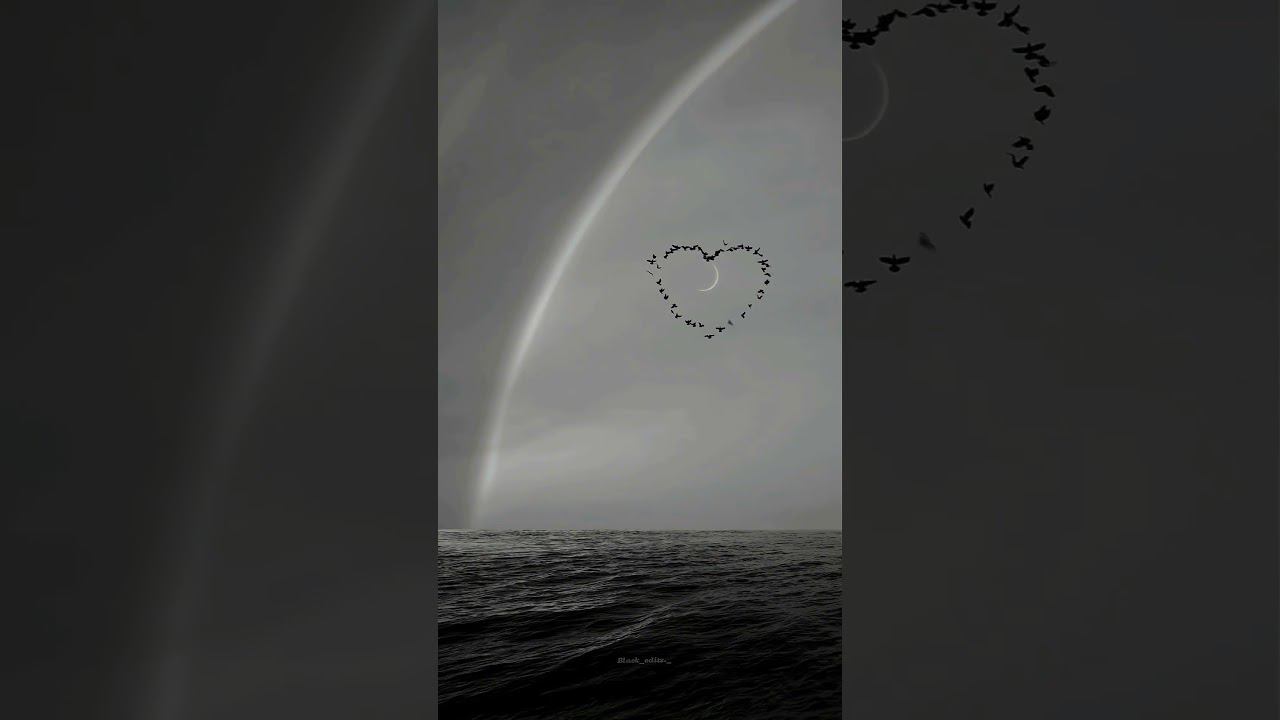 heart смотреть онлайн