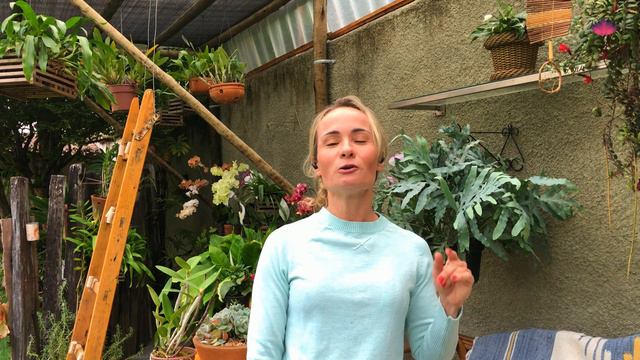 NOVO QUADRO NO CANAL!! - Suculentando por aí смотреть онлайн