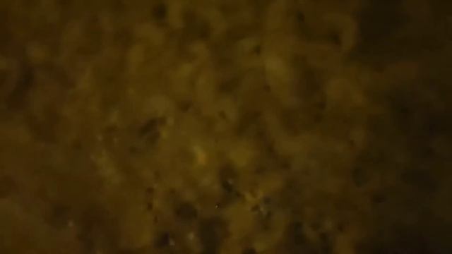 Шаги по снежному насту.Хруст льда под ногами смотреть онлайн