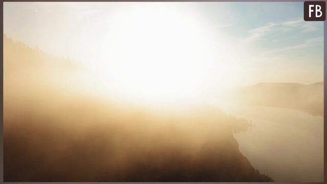 Женщина не понимала, почему ее супруг каждые выходные ходит один в лес. смотреть онлайн