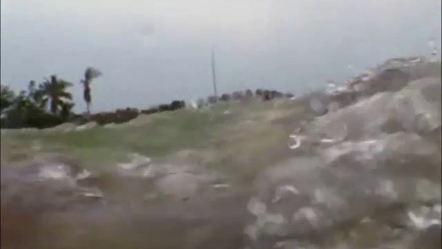 Local Risk Taker Attempts to Hand-Feed Bull Shark from His Kayak смотреть онлайн