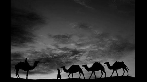 ♚Караван плана♚