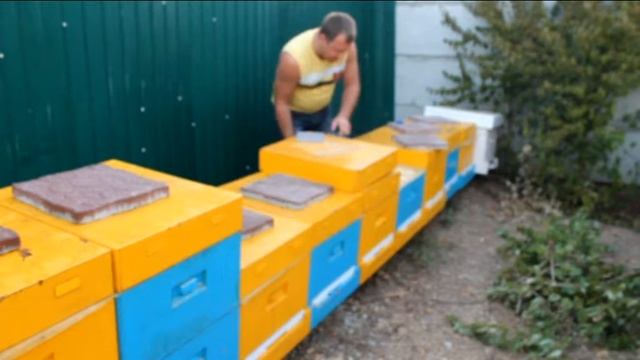 Как установить кормушки для пчел, профилактическая подкормка сиропом смотреть онлайн