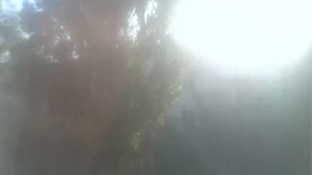 TyT BCE B TPAHCE! ASTRAL & MEDIUM GAME FARM WAR FRAME ?discord????⚡??BOT B TPAHCE TyT KAK TyT?✨ смотреть онлайн