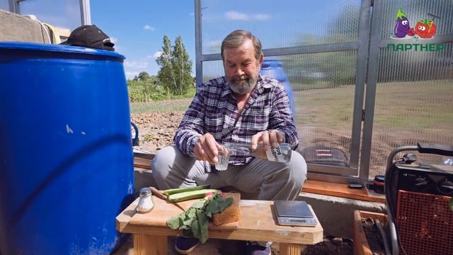 ГЛАДКИЕ ОГУРЦЫ - ПЛОДОНОСЯТ ВОДОПАДОМ! смотреть онлайн