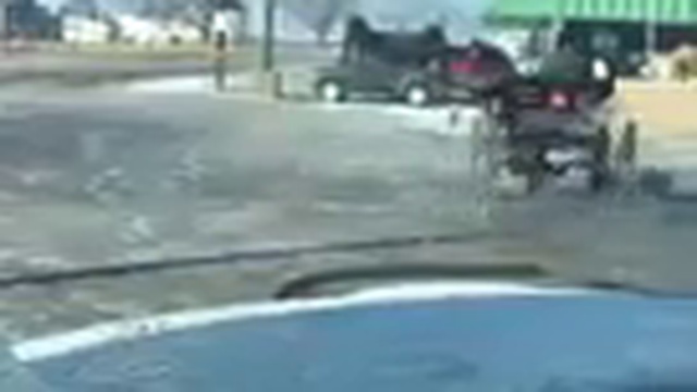 Да что ты знаешь о дрифте, щенок смотреть онлайн