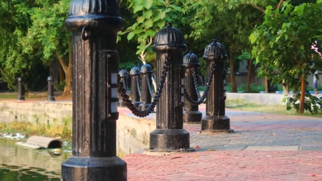 Canon 1200 D Sample Photos : Macro and Landscape Photographhy смотреть онлайн