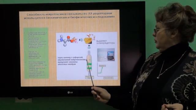 Лесовская М.И. Биологически активные вещества рептилий смотреть онлайн