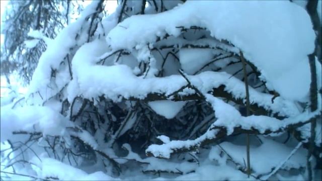 Охота на зайца русака с подхода 2015 год зима смотреть онлайн