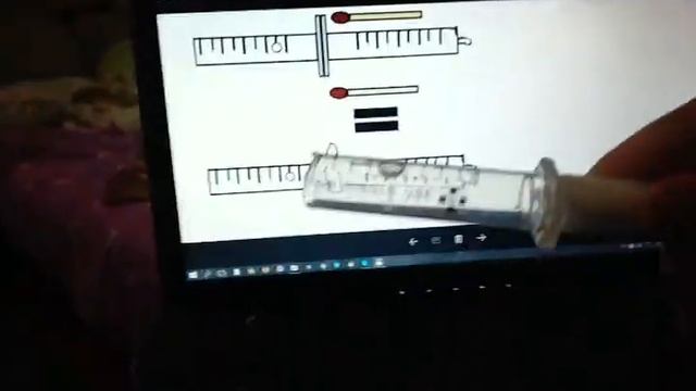 Инкубатор для муравьёв смотреть онлайн