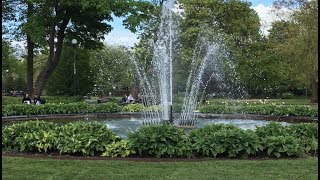 Ska Sverige Ha En Strikt Eller En Mer Öppen Invandringspolitik?