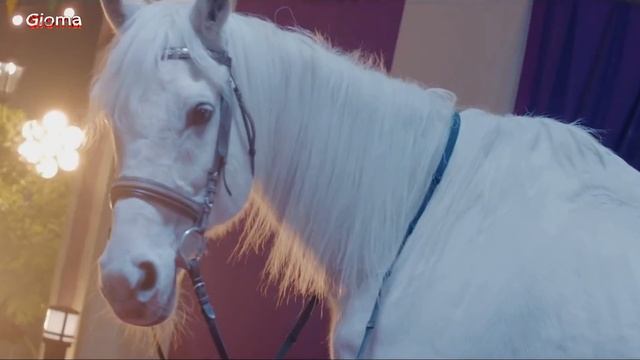 ♞ Italo House Dream ✐ DJ Kramnik & Gioma VIP ☆ 2k19 смотреть онлайн