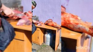 колбаса из конины горячего копчения