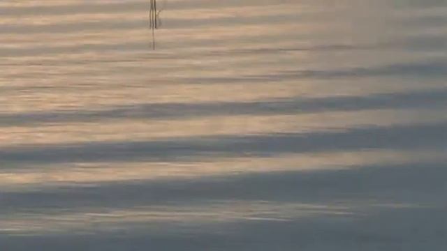 А. Фет «Я знал её малюткою кудрявою...» смотреть онлайн