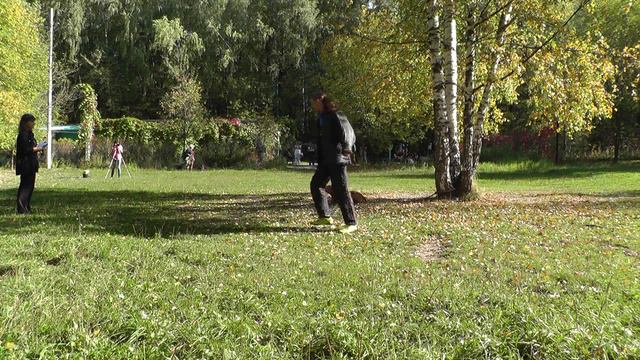 Соревнования по ОКД и ЗКС для начинающих. КЦ "Ясенево" 26.09.2015 г. смотреть онлайн