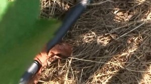 Капельный и подземный полив винограда.