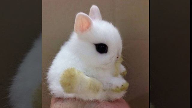 !!!ТУТ МИЛОТА!!!