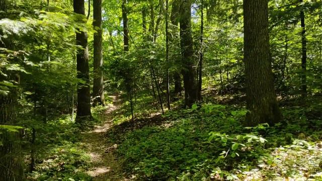 021. Энергия. Метафора ведра смотреть онлайн