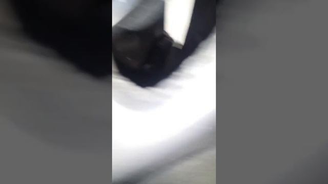 2013 Ford Focus Transmission issues post TCM Recall смотреть онлайн