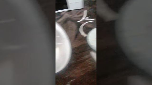 Светодиод лампа лезард смотреть онлайн