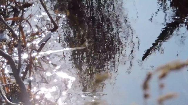 Nikon P530 - Indoor and Outdoor Video Test (1080p) смотреть онлайн
