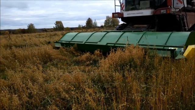 Очісуюча жниварка "Слов'янка УАС-6" з комбайном VECТOR 410. Збирання вівса (2019) смотреть онлайн
