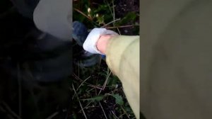 триммер из шуруповерта