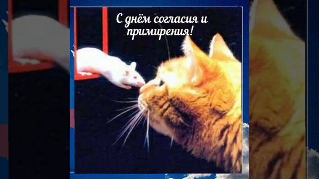 С днём согласия и примирения! смотреть онлайн