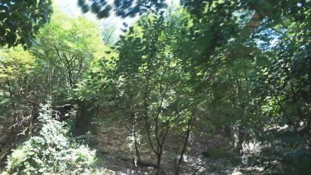 Июль 2019// Первый раз пробуем. смотреть онлайн