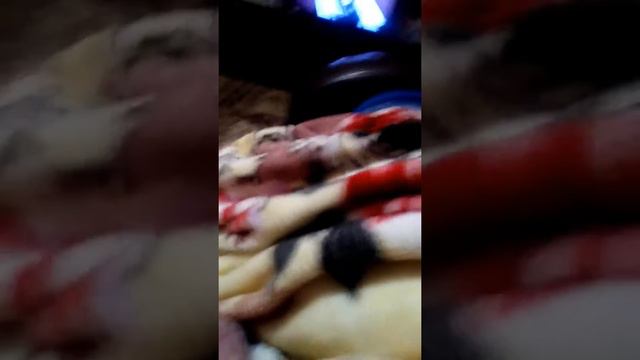 Звонок звонок на номер 666 66 смотреть онлайн