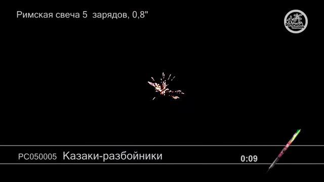 РС050005 Казаки разбойники смотреть онлайн