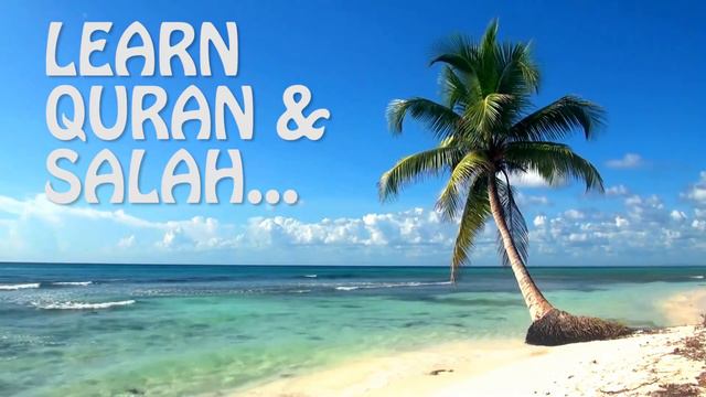 y2meta com Relaxing Full HD Film Ocean Live Wallpaper Dreamscene 1080p смотреть онлайн