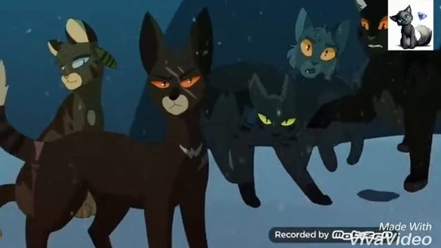 Коты Воители | Ласточка и Грач | Ты моё счастье смотреть онлайн