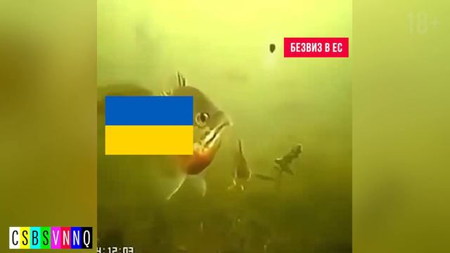 CSBSVNNQ - No Comments // Американские новости. Без комментариев. Выпуск #29 от 08.12.2020 смотреть онлайн