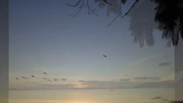 Счастье к нам...Само приходит по утрам...Слова, муз и исп Самуила Фрумовича смотреть онлайн