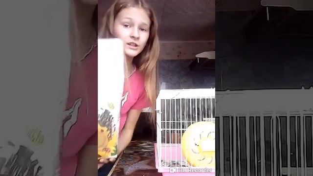 Семки подсолнечник (реклама)😂 смотреть онлайн