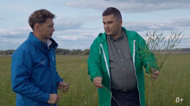 APALIQUA ЖКУ NP 11:37 на масличных культурах. Яровой рапс лён.