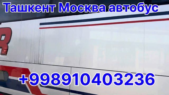#ташкент #москва #автобус #спринтер #такси #2024 #самолет #санктпетербург #россияузбекистанавтобус смотреть онлайн