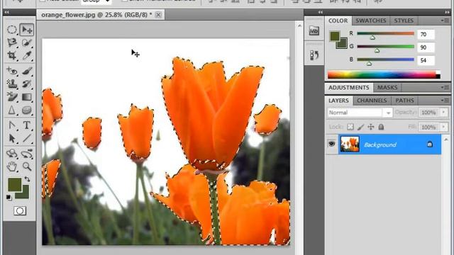 Photoshop CS5 Tutorial Adjusting Pixel Selections Adobe Training Lesson 7.9 смотреть онлайн