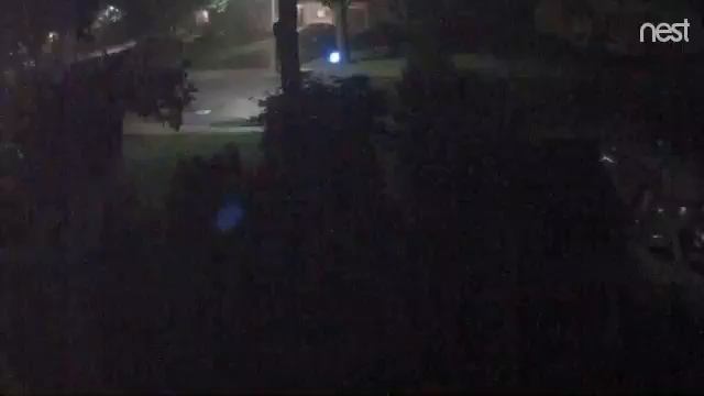 car thief 5.20 3.31...3.35am смотреть онлайн