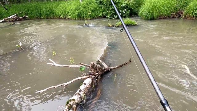 Рыбалка на ХАРИУСА/По Новой ТРОПЕ-по ДИКОЙ реке/Одиночный марш БРОСОК за ХАРИУСОМ. смотреть онлайн