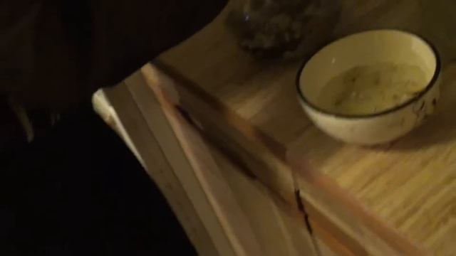 Новогодний подарок дочери, 2013 год: черепаха Тортилла смотреть онлайн