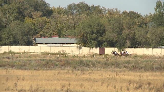 Скачки за Приз Президента Республики Казахстан приз "Кубок Майлеров" смотреть онлайн